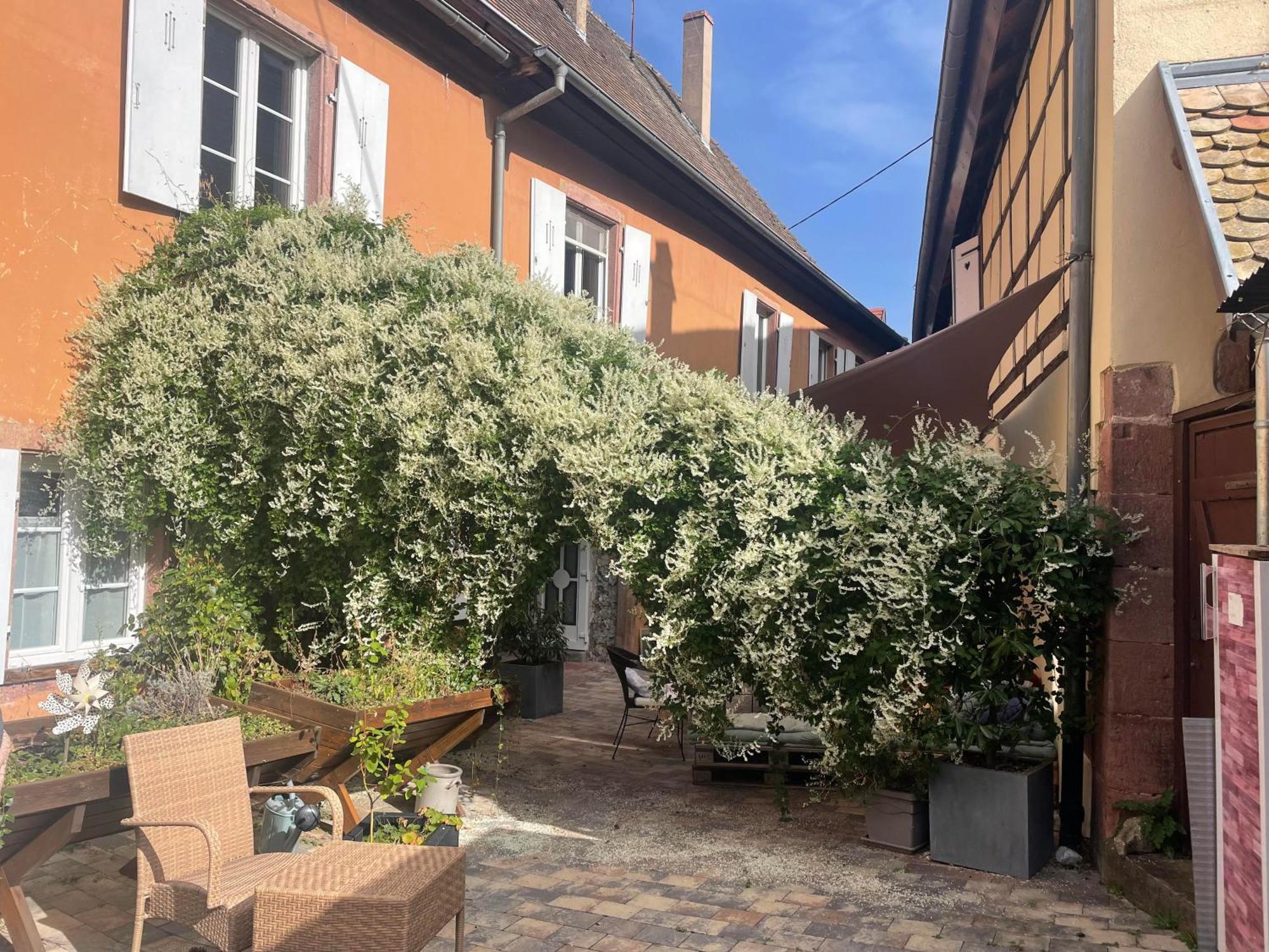 Caveau 1751 Niedermorschwihr Exterior foto